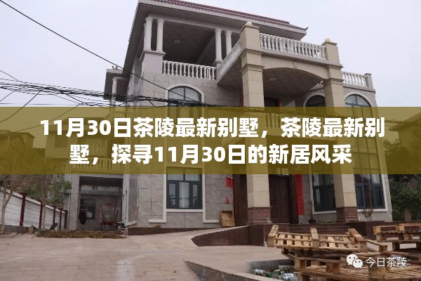 探寻茶陵最新别墅风采,11月30日新居展示