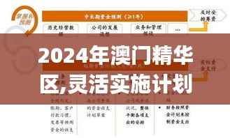 2024年澳门精华区,灵活实施计划_黄金版169.466-9