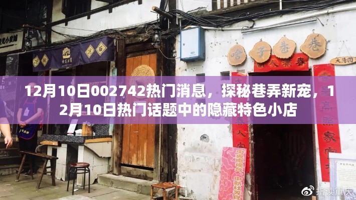 探秘巷弄新星,揭秘隐藏特色小店,热门话题热议不断!