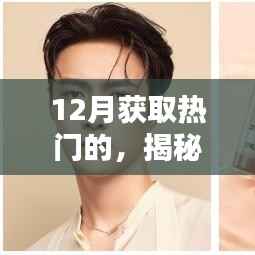 揭秘十二月热门趋势,引领潮流的三个要点深度解析与探讨