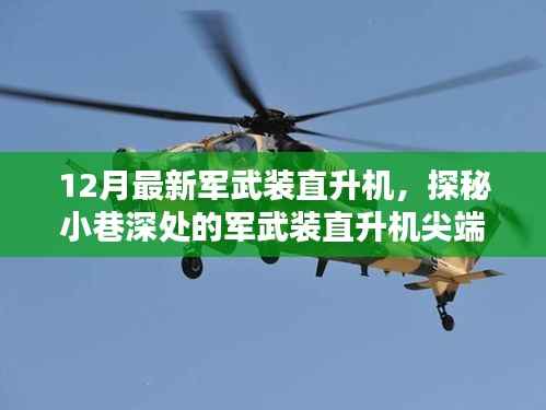 探秘尖端科技小店，揭秘十二月最新军武装直升机
