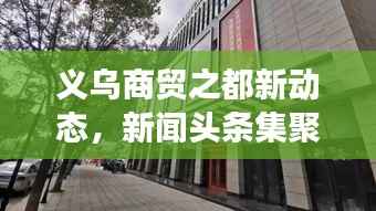 义乌商贸之都新动态，新闻头条集聚，繁荣脉搏速览