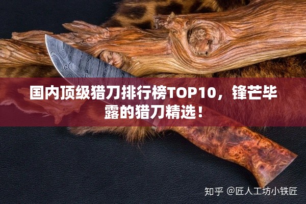 国内顶级猎刀排行榜TOP10,锋芒毕露的猎刀精选!