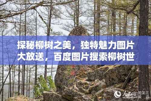 标新竖异